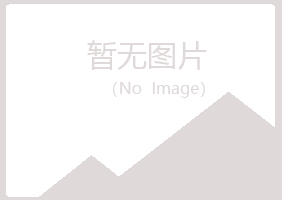 抚州临川冰夏咨询有限公司